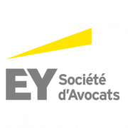 Avocat expérimenté en Droit Public des Affaires - Lyon - F/H