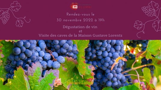 🍷 EVENEMENT ALUMNI : Dégustation de vin & visite des caves Gustave Lorentz